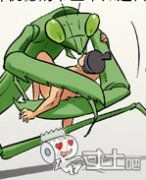 蚂蚁与蜜蜂第11集