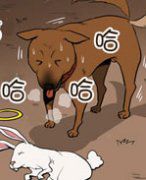 色系军团漫画系列之兔死狗烹