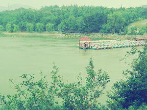 只是美景而已 各种意境好看图片