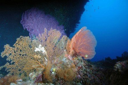 北纬7°的七色帛琉海美丽景色