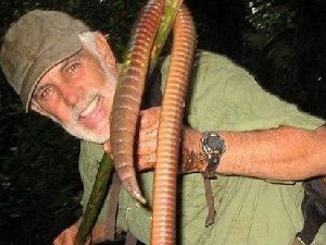 世界上最长的巨型蚯蚓 看看有多
