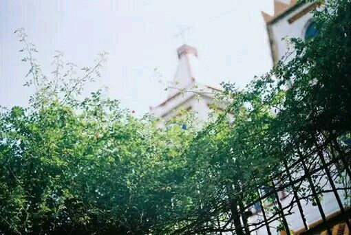 风景美图 人生是一场盛大的遇见