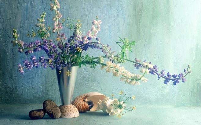 唯美花朵树木图 这景色令人陶醉