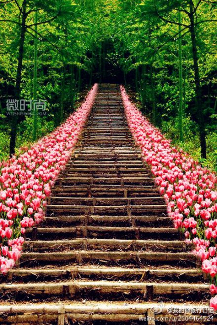 跟着风景去旅行 漂亮的风景图【图】