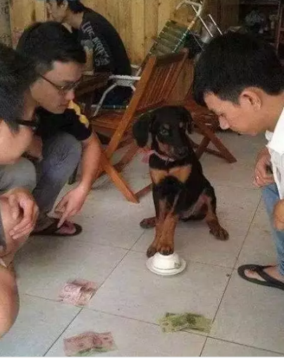 买定离手 都别后悔啊