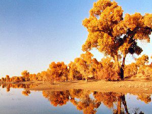 自然风景图片大图