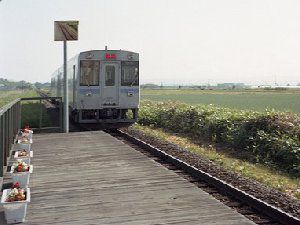 永远爱你那些沿路风景图 春日阳光，