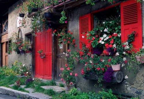 永远爱你那些沿路风景图 春日阳光，温暖不伤人