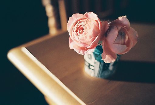 唯美好看的花朵图片,小清新花儿图