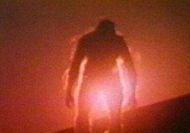 红毛野怪真的存在吗 专家对红毛野怪