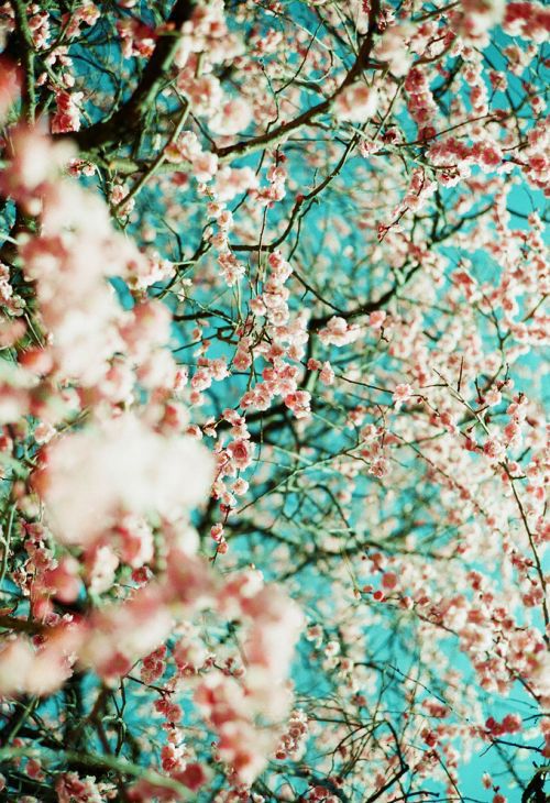 唯美蓝色美图 有些人走了就是永远