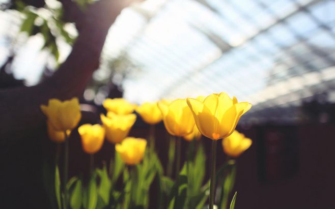 唯美伤感lomo清新意境治愈系美图