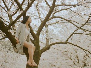 女孩与花的好看唯美图片