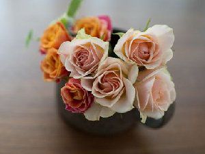 唯美好看的花朵图片,小清新花儿图