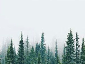 唯美清新图 看看心旷神怡