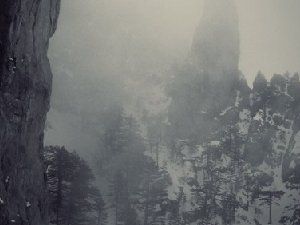 没有颜色的凄凉黑白风景图片 眼泪的