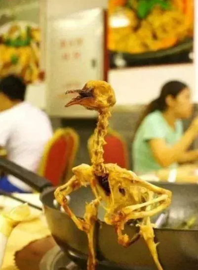 兄弟吃得一手好鸡自己造吗