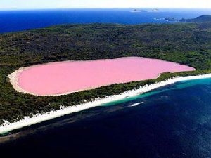 超级好看美到爆的风景图