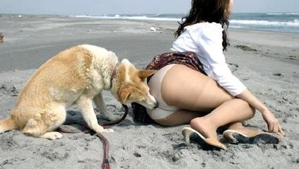 什么是兽奸 兽奸违法吗 兽奸解释