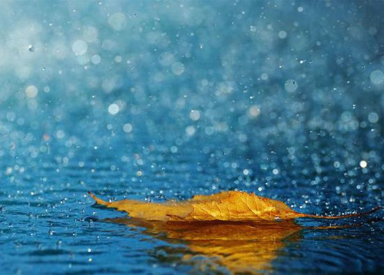 下雨天高清唯美图片,雨中好看的图