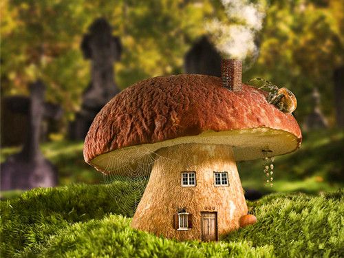 童话里的小屋 梦幻般的美丽景色