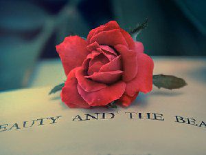 心形唯美图 平生只会更信爱