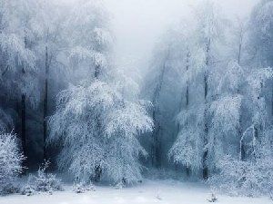 全球冬季绝色美景 冰天雪地宛如仙境