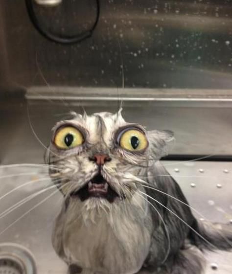 敢给我洗澡？你小子等着