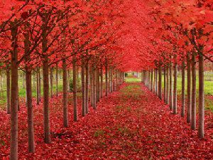 那些震撼心灵的美景