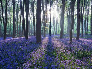 唯美意境风景图片欣赏