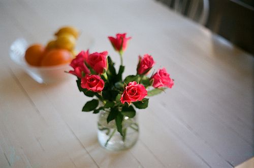 唯美好看的花朵图片,小清新花儿图