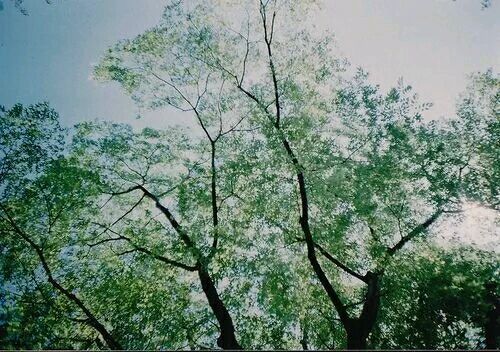 风景美图 人生是一场盛大的遇见