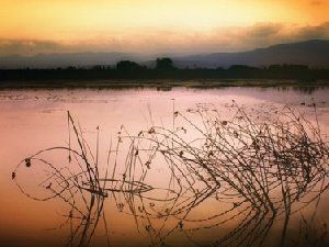 风景唯美图片 站在阳光下的我们很温