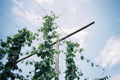 沿途风景再美 也只不过是过客