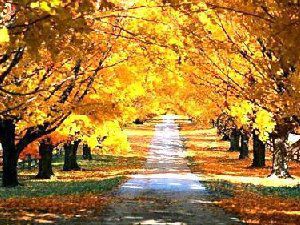 一场旧梦一场空 好看的风景图