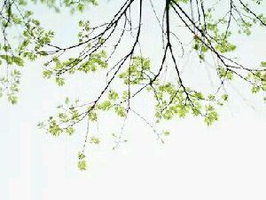 风景美图 人生是一场盛大的遇见