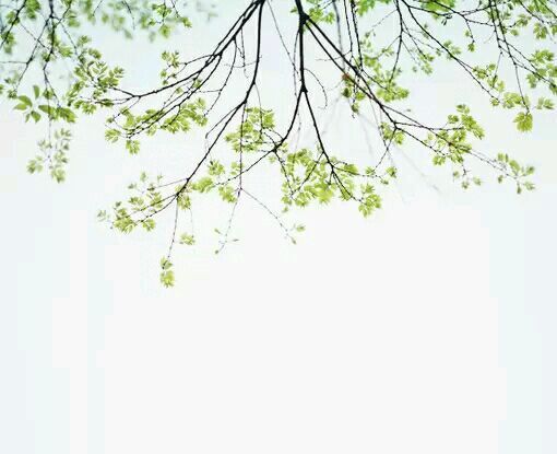 风景美图 人生是一场盛大的遇见