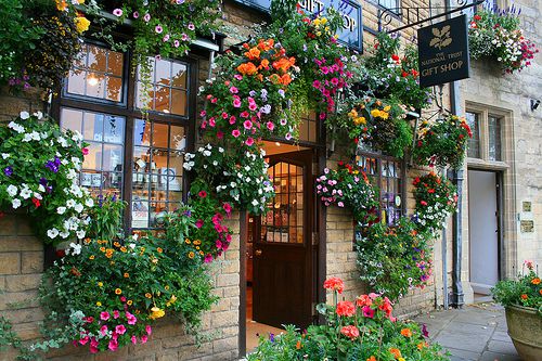 繁花小镇美丽风景图 美景让人窒息