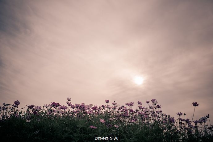 凄美风景图片欣赏