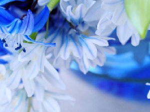 唯美蓝色美图 有些人走了就是永远