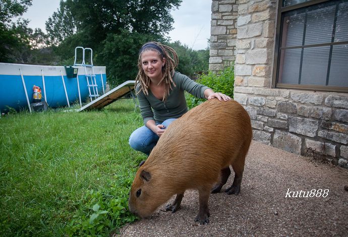 世界上最大的老鼠有多大【图片】