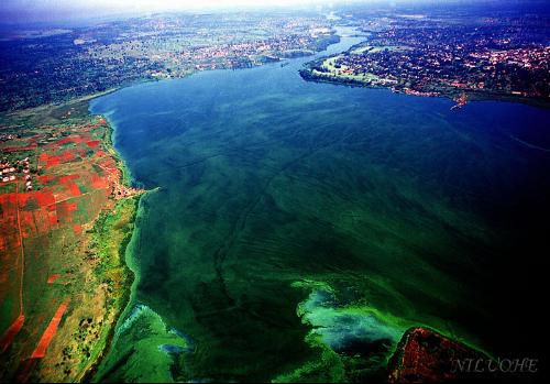 世界第一长河是什么河排名图