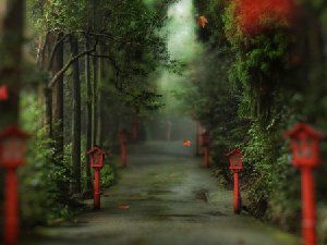 唯美清新意境风景图片