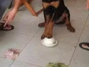 买定离手 都别后悔啊