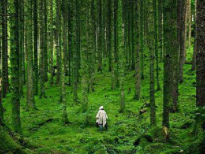 你在看孤独的风景 美景图片欣赏【组