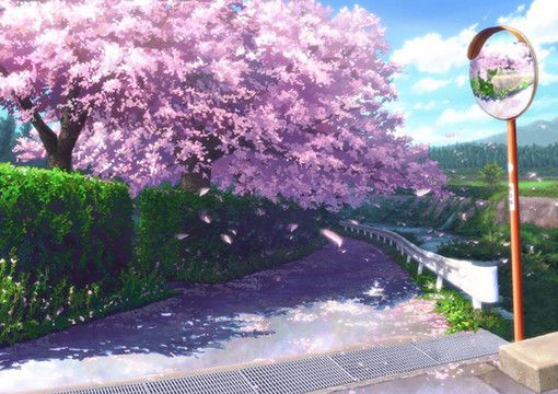 毕竟是我爱的樱花 唯美樱花风景图片大全