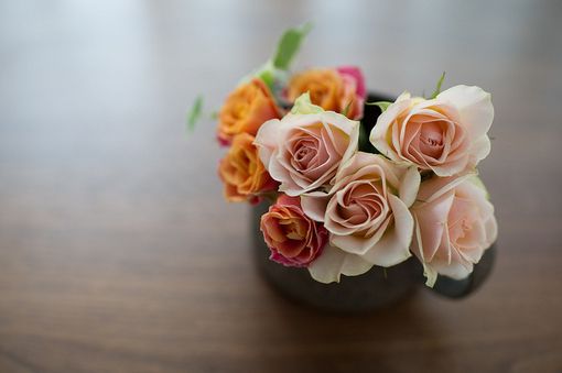 唯美好看的花朵图片,小清新花儿图