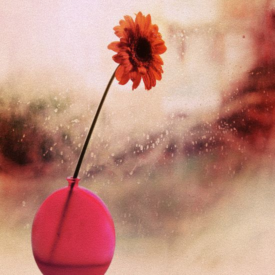 下雨天高清唯美图片,雨中好看的图