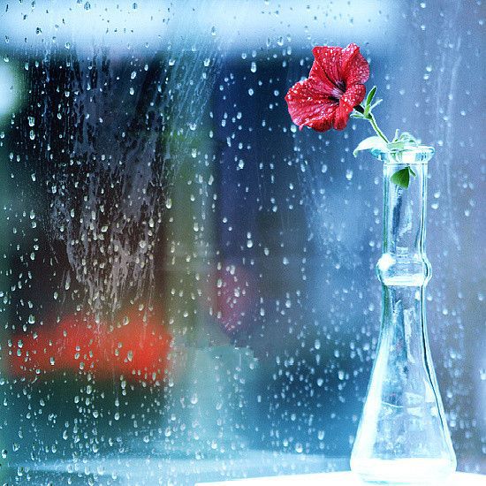 下雨天高清唯美图片,雨中好看的图