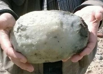 龙延香是什么东西 1.45公斤龙延香